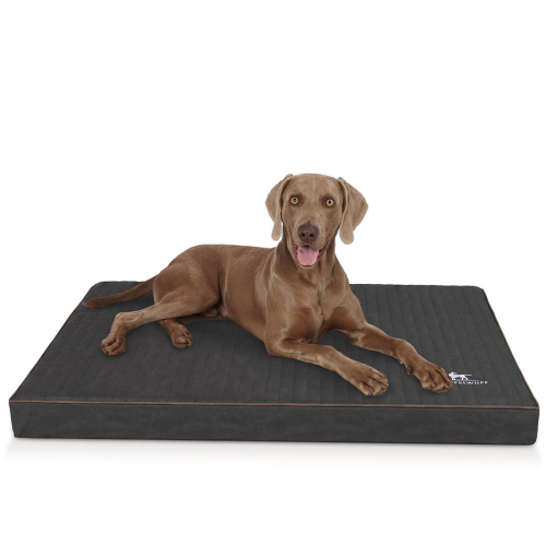 Colchón ortopédico para perros Knuffelwuff Palomino de cuero sintético con grabado láser XL, 100 x 70 cm, negro